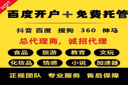 如何利用百度竞价代理：真实案例分析